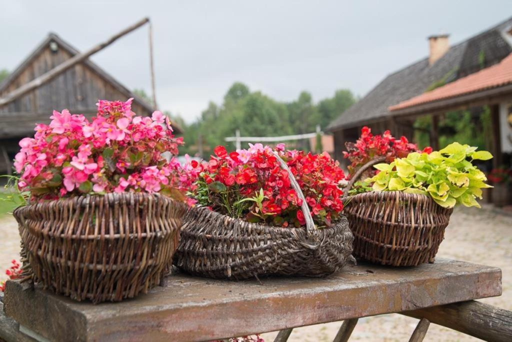 Gosciniec Folwark Nadawki Bed & Breakfast Sienkiewicze Eksteriør bilde